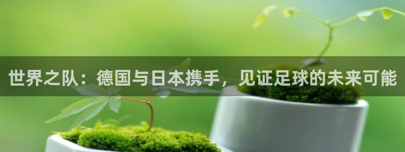 足球世界杯赛程：世界之队：德国与日本携手，见证足球的未来可能