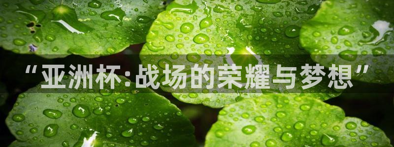 世界杯预选赛欧洲区赛程：“亚洲杯:战场的荣耀与梦想”