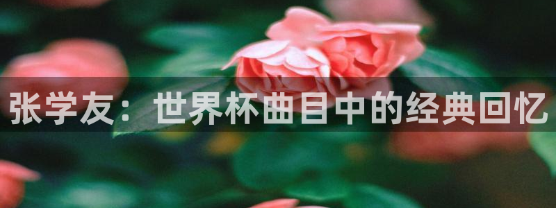 世界杯女足直播：张学友：世界杯曲目中的经典回忆