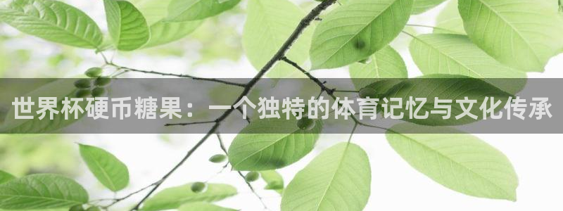2026世界杯赛制：世界杯硬币糖果：一个独特的体育记忆与文化传承