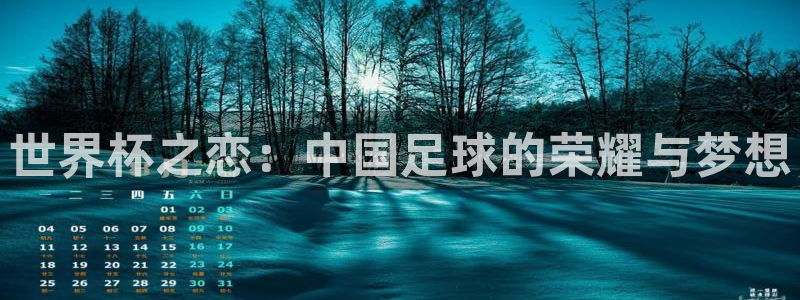 2026世界杯对阵图：世界杯之恋：中国足球的荣耀与梦想