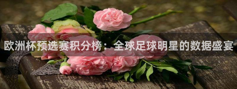 世界杯小组赛赛程：欧洲杯预选赛积分榜：全球足球明星的数据盛宴