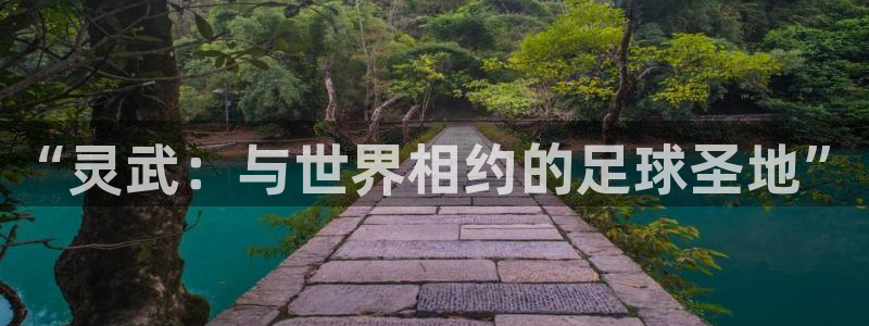 2026世预赛赛程：“灵武：与世界相约的足球圣地”