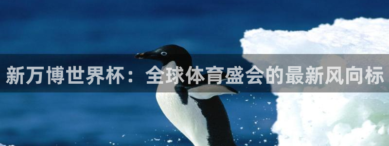 世界杯球赛：新万博世界杯：全球体育盛会的最新风向标