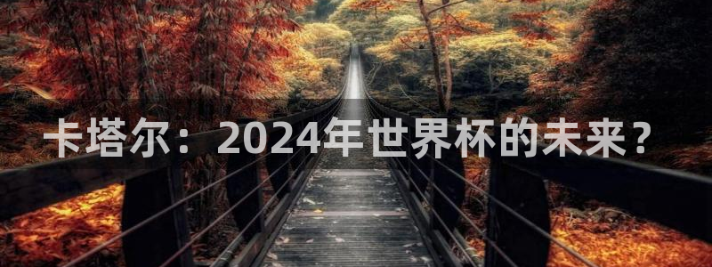 2026世界杯赛制：卡塔尔：2024年世界杯的未来？