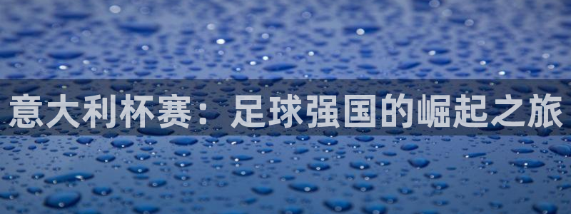 欧洲世界杯预选赛赛程：意大利杯赛：足球强国的崛起之旅