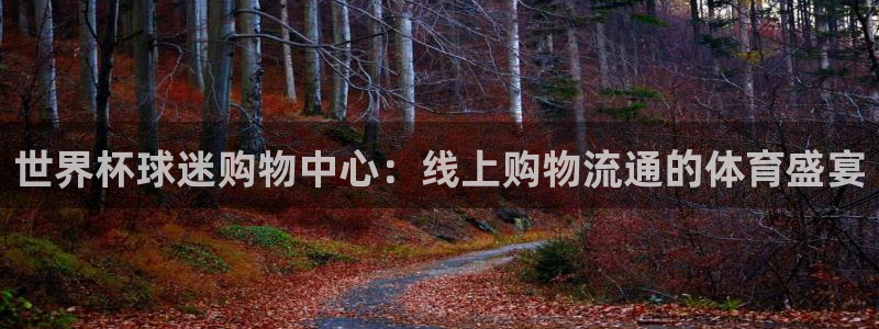 世界杯预选赛直播：世界杯球迷购物中心：线上购物流通的体育盛宴
