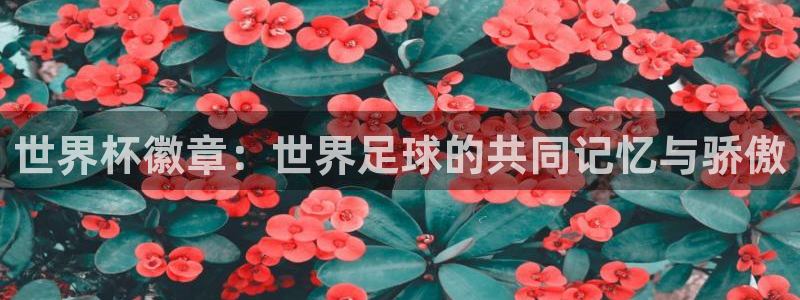 今年的世界杯：世界杯徽章：世界足球的共同记忆与骄傲