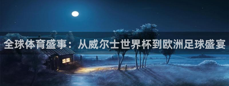 联赛杯直播：全球体育盛事：从威尔士世界杯到欧洲足球盛宴