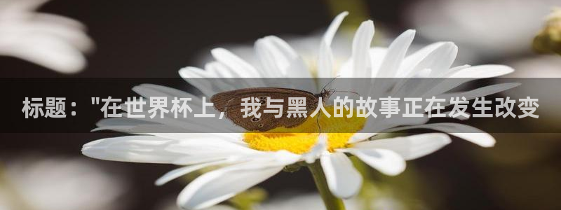 足球世界杯2026：标题：\