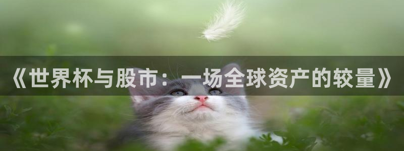 世界杯欧洲区赛程：《世界杯与股市：一场全球资产的较量》