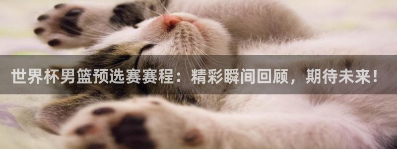 2026世界杯：世界杯男篮预选赛赛程：精彩瞬间回顾，期待未来！