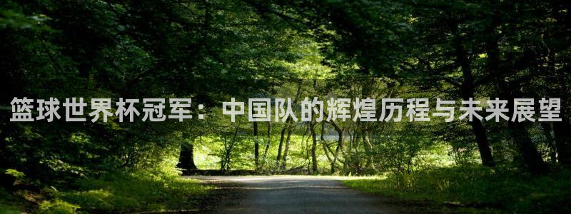 世界杯今年：篮球世界杯冠军：中国队的辉煌历程与未来展望